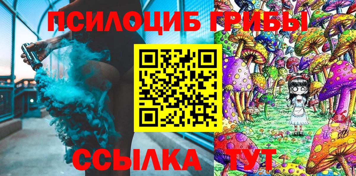 Галлюциногенные грибы мухоморы  Псилоцибиновые грибы ЛСД  где купить наркотик  Зима  Вход с VPN 