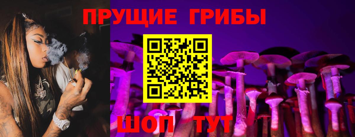 Галлюциногенные грибы ЛСД Зима